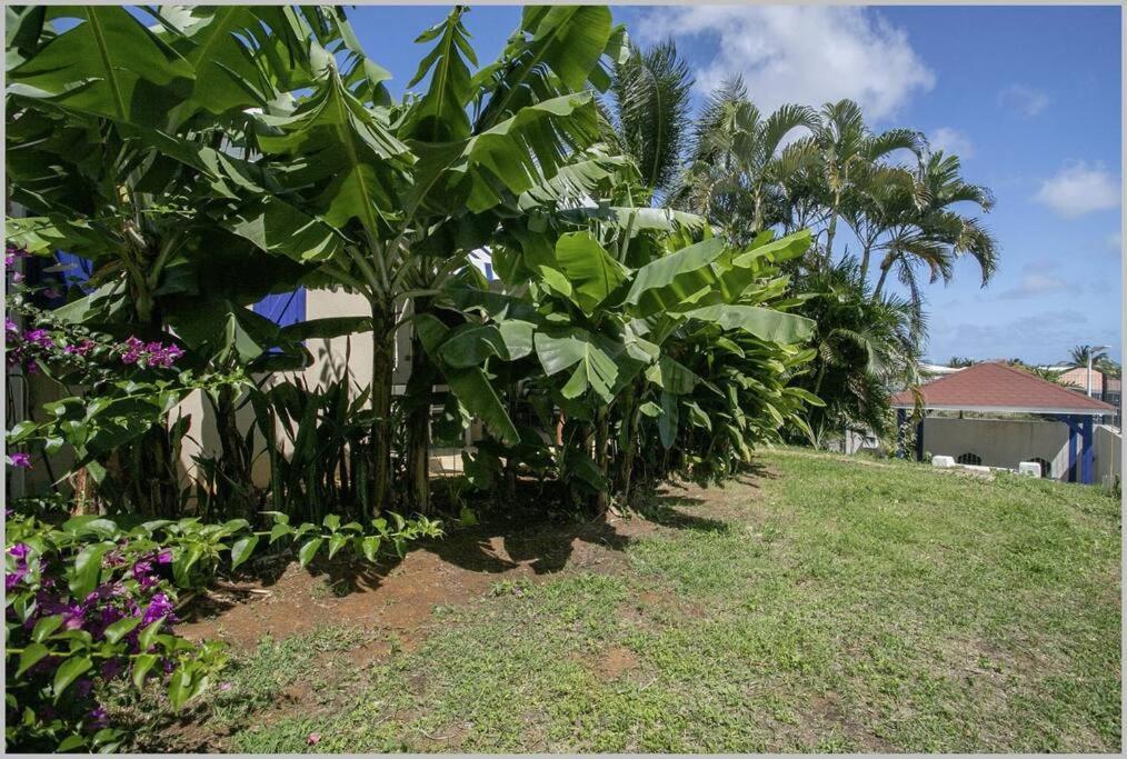 Villa Mango 150 Metres Plage A Pied แซ็งต์-ลูซ ภายนอก รูปภาพ
