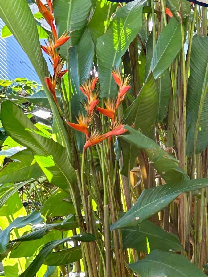 Villa Mango 150 Metres Plage A Pied แซ็งต์-ลูซ ภายนอก รูปภาพ