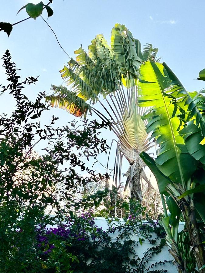 Villa Mango 150 Metres Plage A Pied แซ็งต์-ลูซ ภายนอก รูปภาพ
